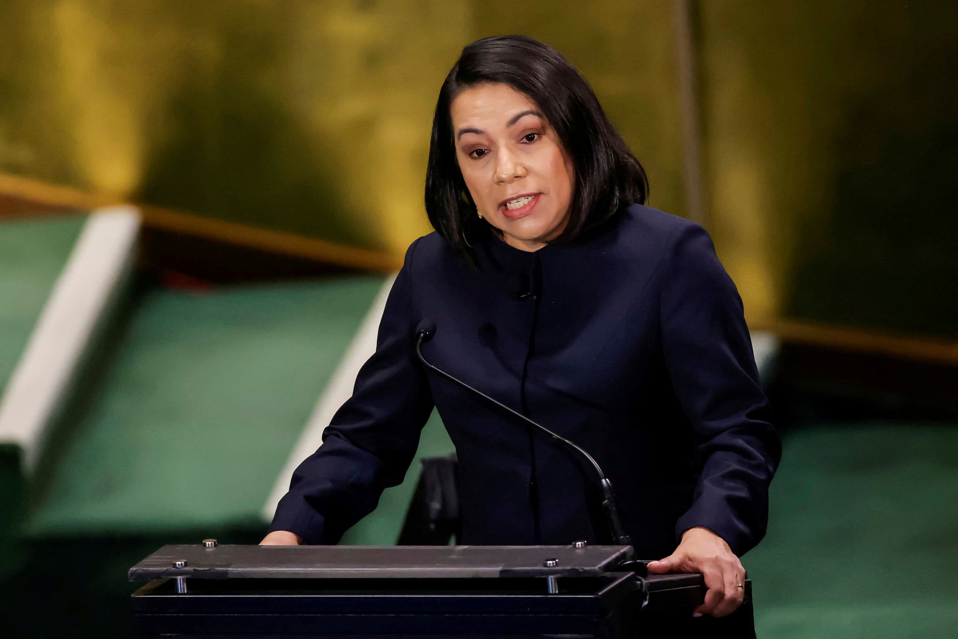 Proceso de Selección del Próximo Secretario General de la ONU: Candidaturas y Dinámicas Geopolíticas