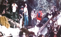 Investigación sobre el Vuelo 901 de Panamá: Extradición y Pesquisas de Terrorismo en Curso