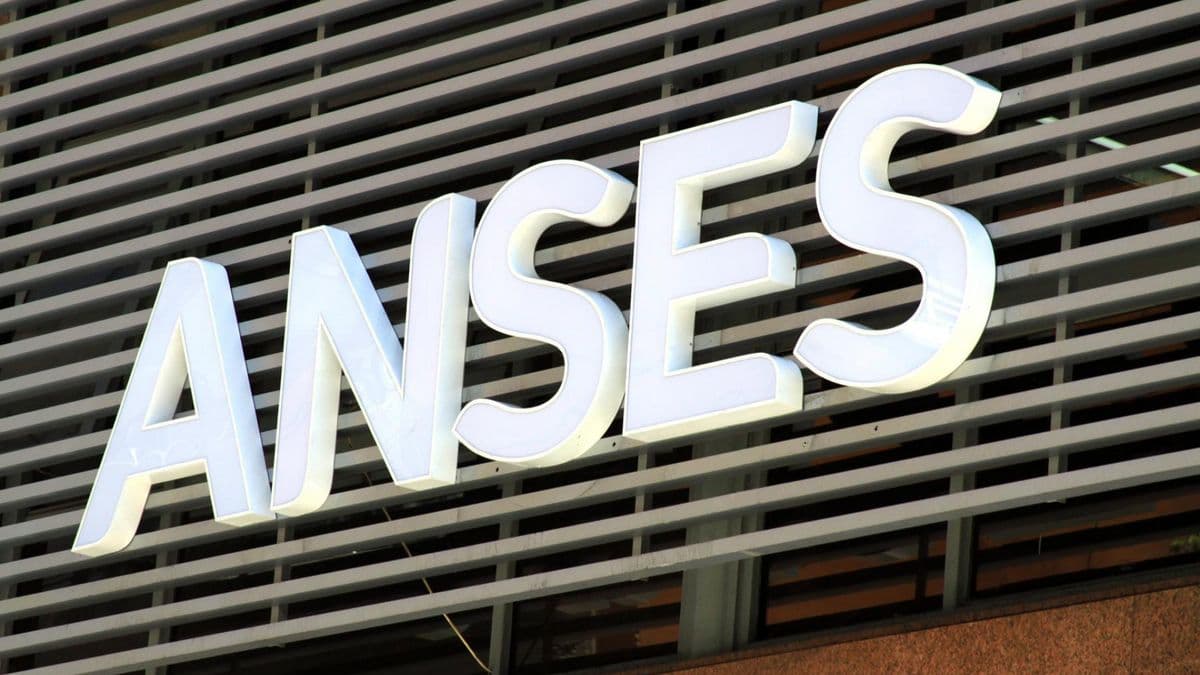 Programa de Reintegros de la Administración Nacional de la Seguridad Social (ANSES): Detalles sobre el Esquema y el Beneficio Mensual