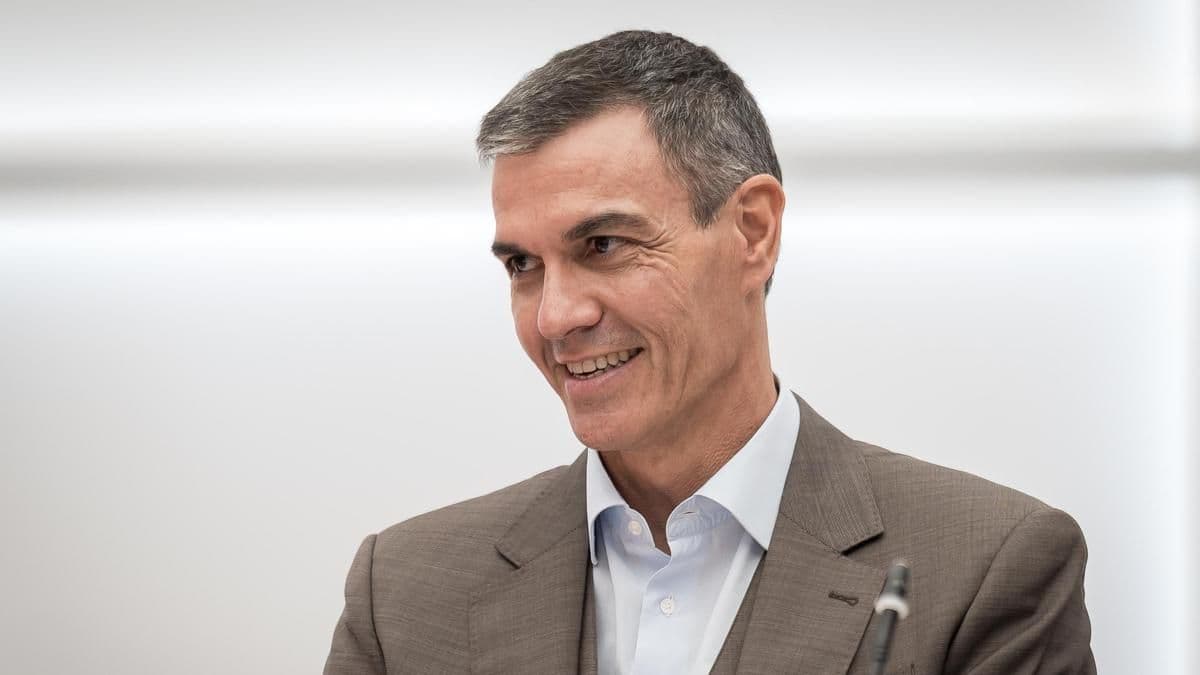 Análisis de Factores y Sondeos Internos que Precedieron la Convocatoria Electoral del 29 de Noviembre en España