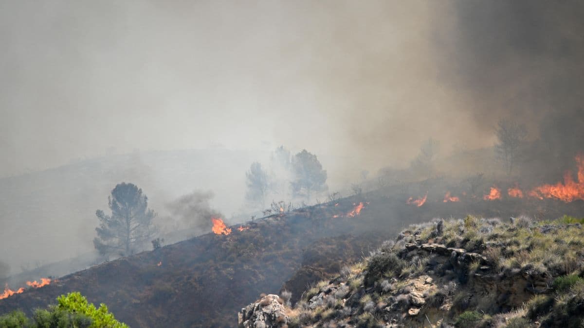 Análisis de la Superficie Afectada por Incendios Forestales en España en 2026 y sus Factores Climáticos