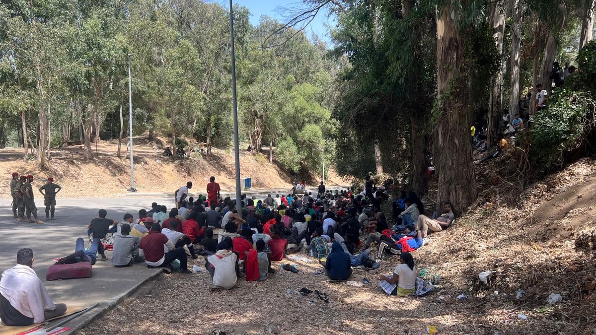 Llegada de Ciudadanos Sudaneses a Ceuta y Solicitudes de Asilo en el Contexto de la Crisis en Sudán