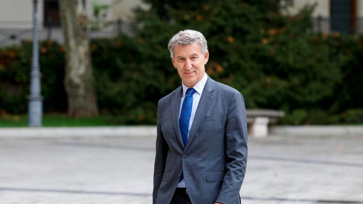 El Partido Popular Solicita la Imputación del PSOE en el Caso Leire Díez en Contexto Pre-Electoral