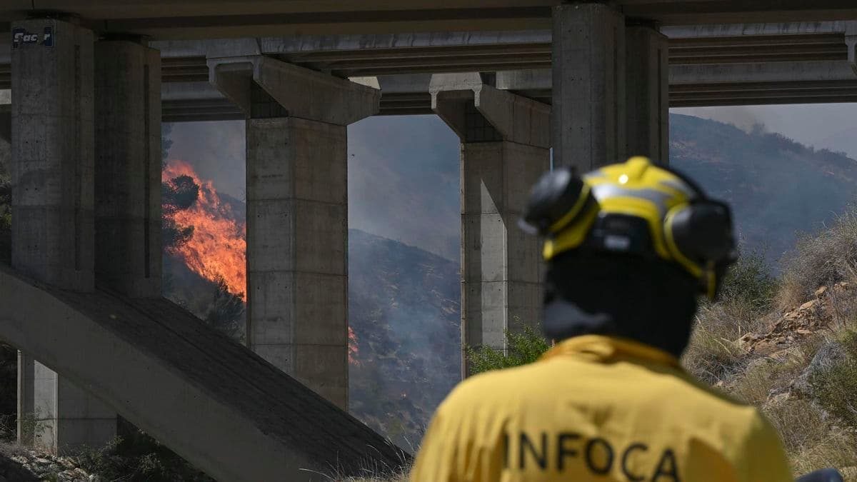 Análisis del Dispositivo INFOCA en Andalucía tras Incendio en Almería: Debate sobre Dotación de Personal y Recursos